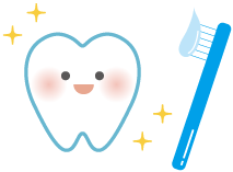 歯磨きできれいになった歯