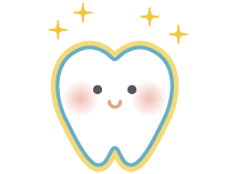 フッ素塗布をした歯